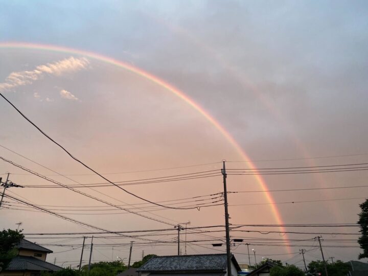 「梅雨が明け、夏の空へ」～皆さまの日常に、ちいさな癒しと安心を～の画像
